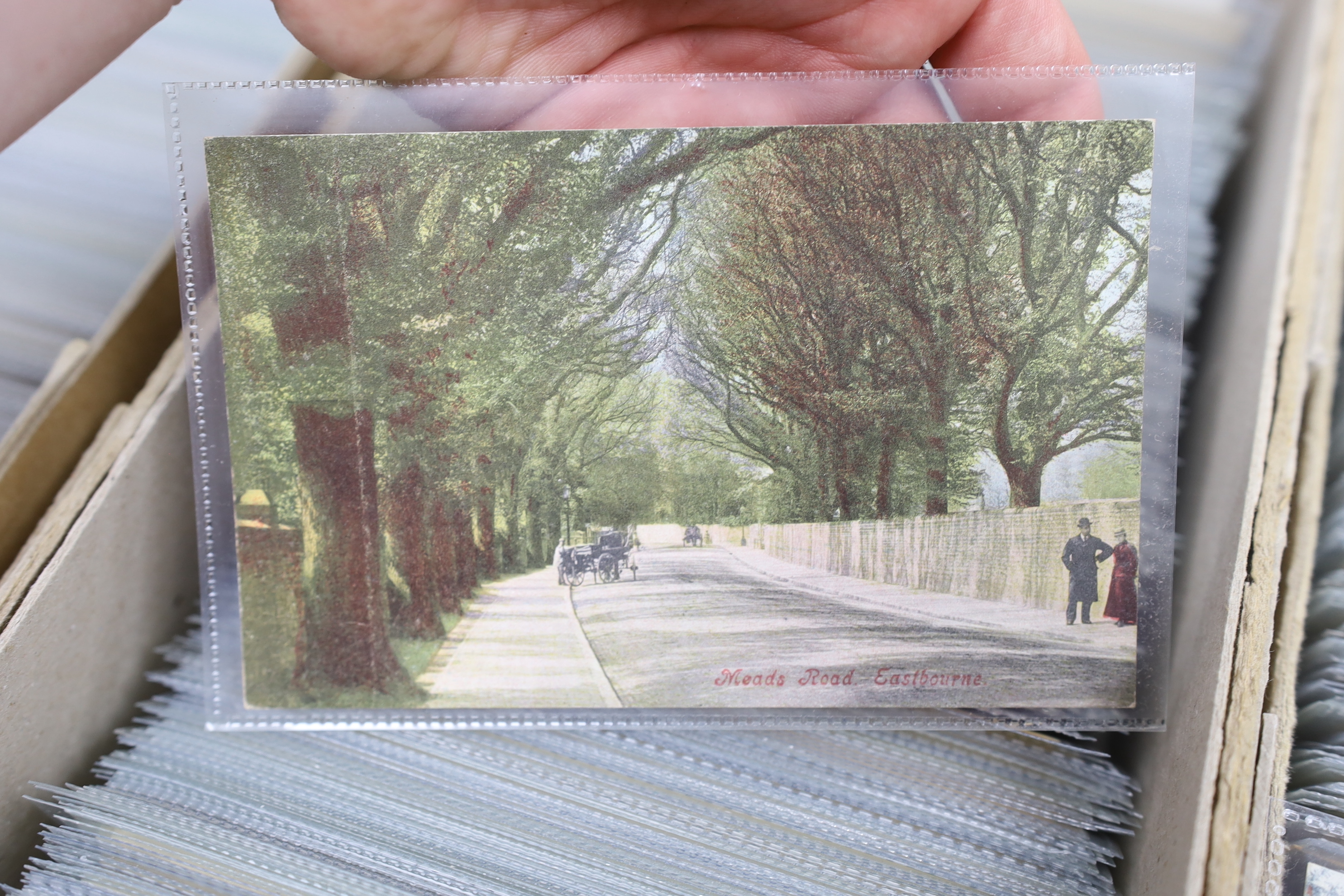 A large quantity of early to mid 20th century postcards of Eastbourne and the surrounding area, all in individual protective sleeves
